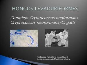 HONGOS LEVADURIFORMES+