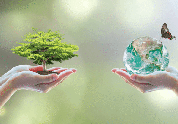 kelestarian alam dan lingkungan